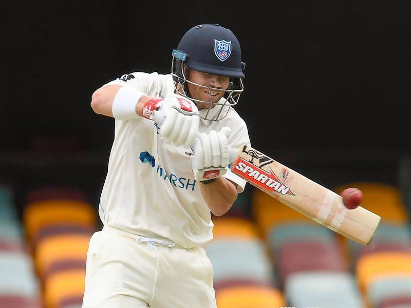 David Warner has notched his 29th first-class century, playing for NSW against Queensland.