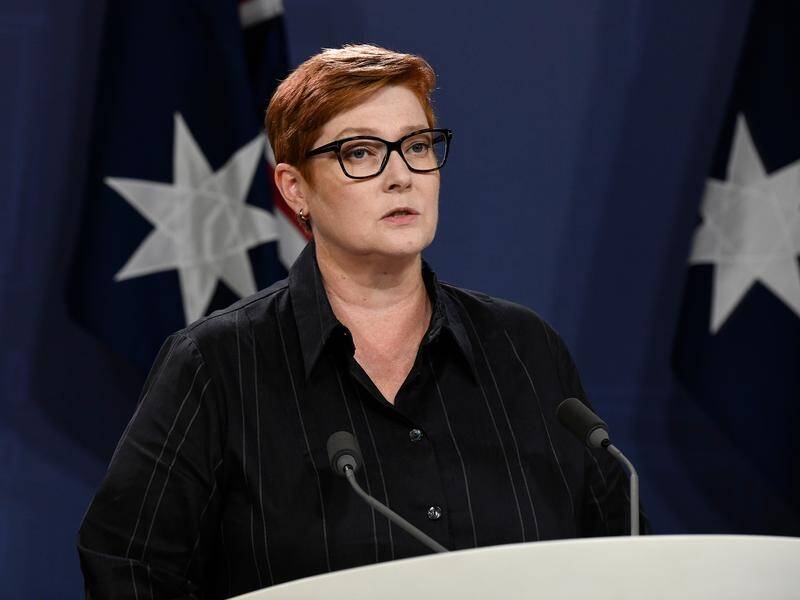 Foreign Affairs Minister Marise Payne says Nazi comparisons contribute little to debate.