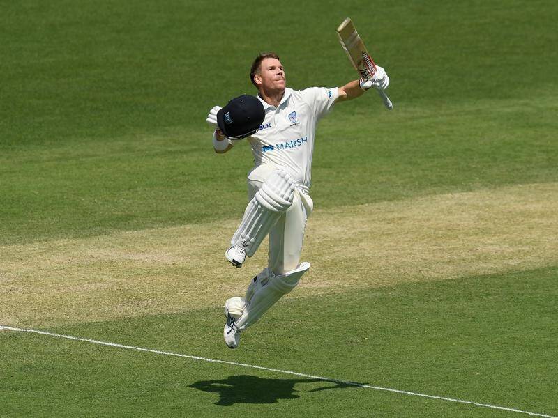 David Warner looks safe for the home Test summer after a ton for NSW in the Shield game in Brisbane.