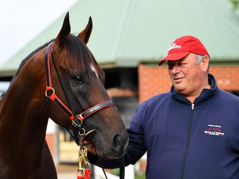 Trainer Michael Moroney has Alabama Express primed for the Australian Guineas.