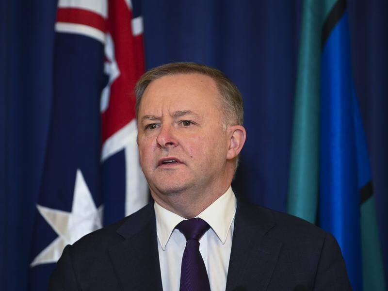 Labor leader Anthony Albanese will now turn his mind to allocating shadow ministerial portfolios.