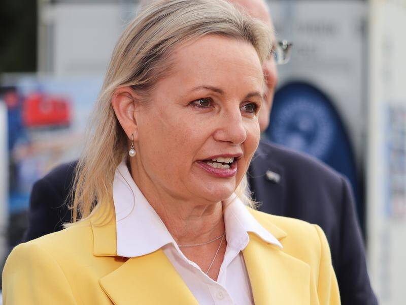 Sussan Ley says the Liberal Party should keep its target of 50pct female representation by 2025.