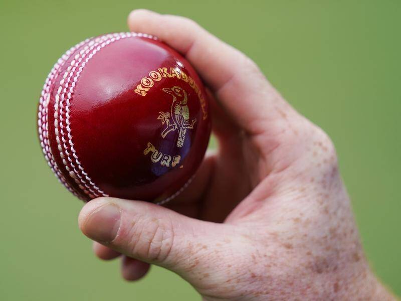 Umpires could be asked to use a wax applicator to shine the ball when cricket resumes next month.