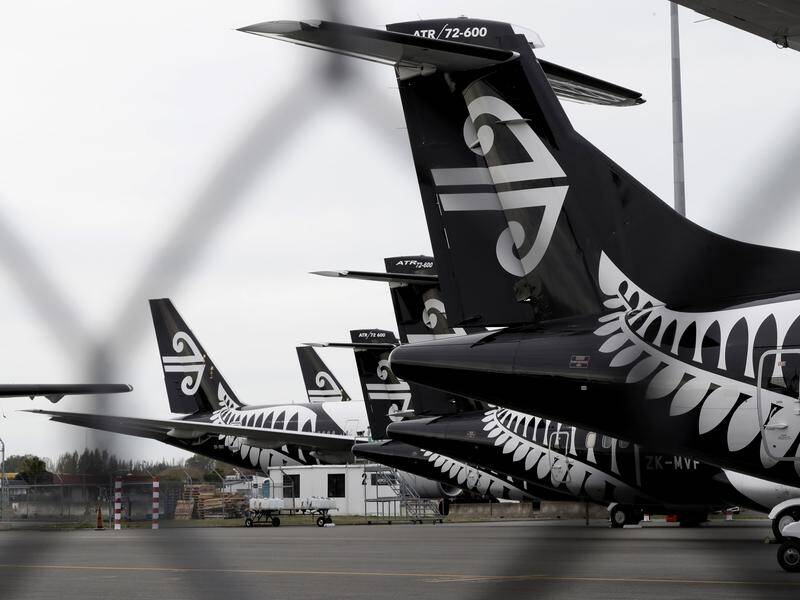 Flights from New Zealand to Australia have been cleared to resume, the government says.