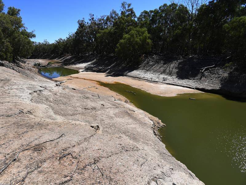 Labor says the man policing water theft across the Murray-Darling is a cop without any weapons.