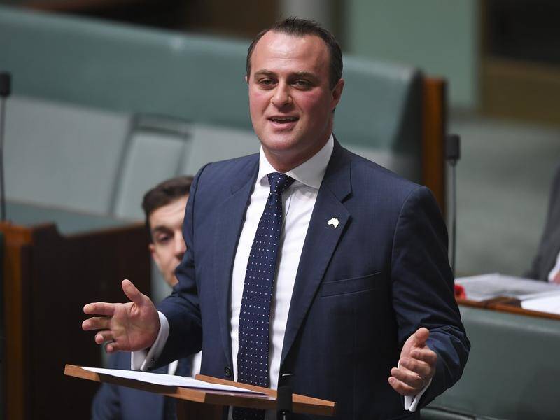 Labor says Liberal MP Tim Wilson must quit an inquiry into ALP proposed changes to franking credits.