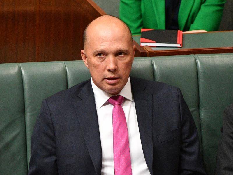 Labor wants the High Court to rule on Peter Dutton's eligibility to serve in parliament.