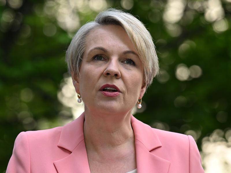 Tanya Plibersek says there must be serious consequences for any unauthorised land clearing. (Mick Tsikas/AAP PHOTOS)