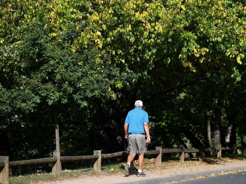A new study says a morning walk can improve the brain function of elderly Australians.
