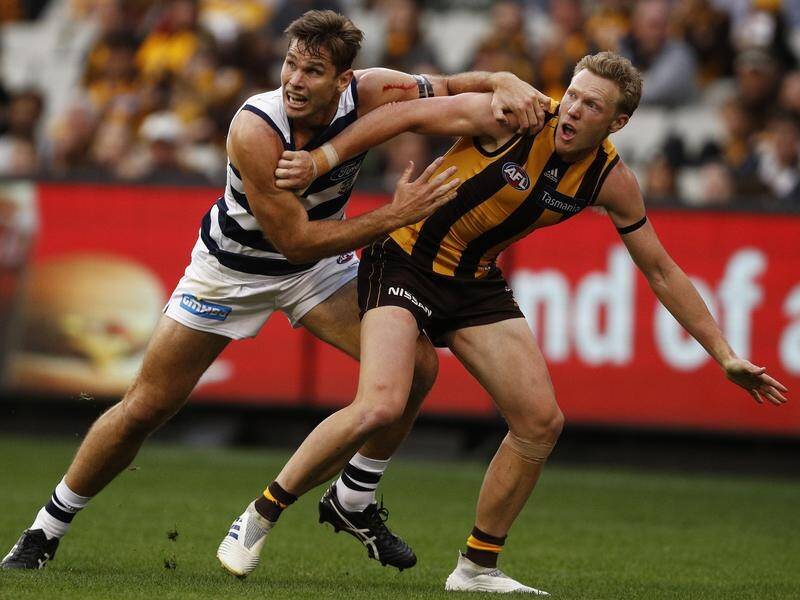 Geelong's Tom Hawkins (l) and Hawthorn's James Sicily battled it out in round five of the AFL.