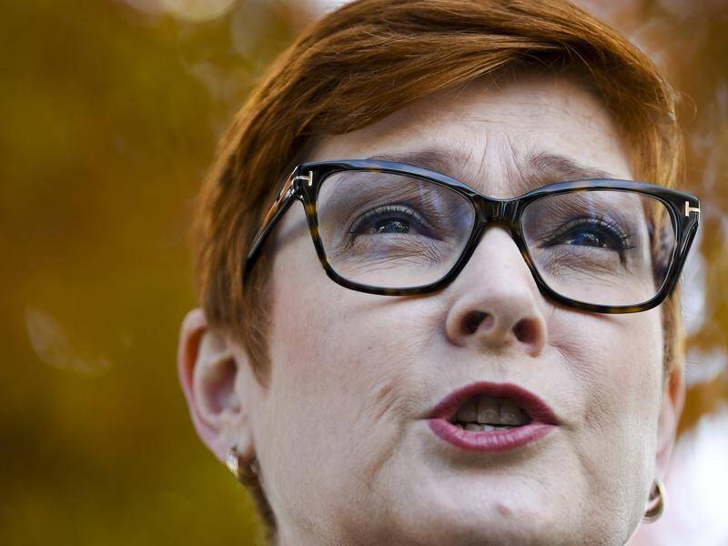 Foreign Minister Marise Payne says it's 'never helpful' to speculate on another party's leadership.