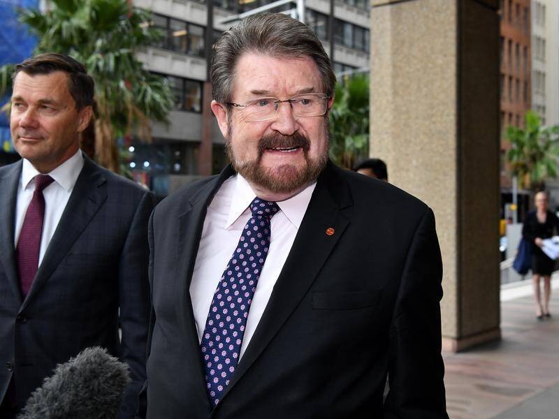 Senator Derryn Hinch has backed Sarah Hanson-Young's claim she never said "all men are rapists"