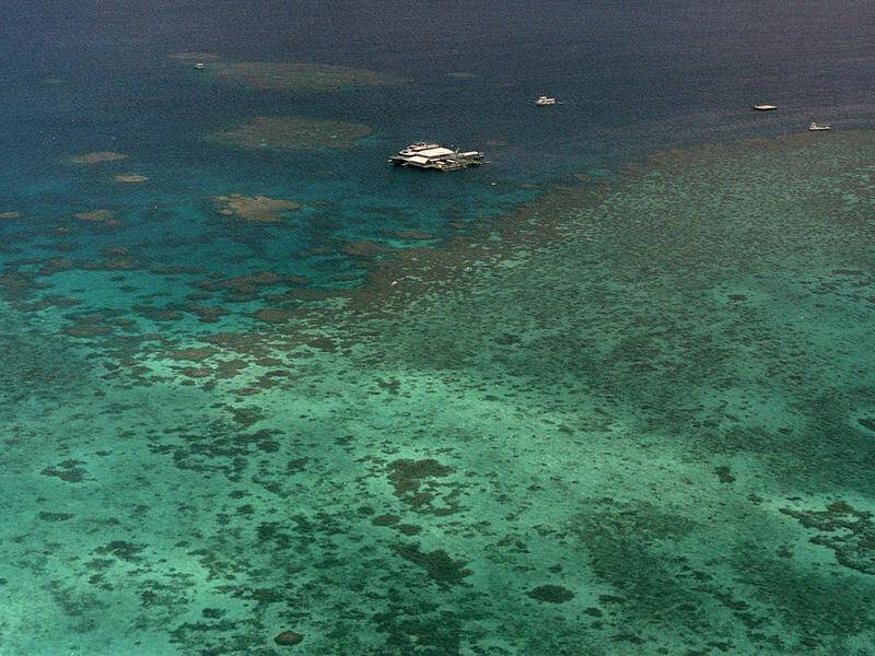 Bleaching has struck all three regions of the Great Barrier reef for the first time.