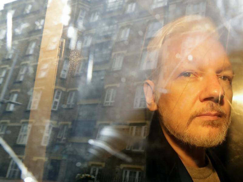 A group of doctors has written to Marise Payne urging her to bring Julian Assange back to Australia.