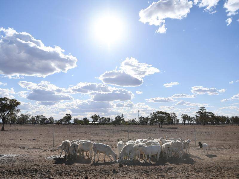 Global warming changes to the planetary water cycle increase the risk of disasters such as drought. (Dan Peled/AAP PHOTOS)