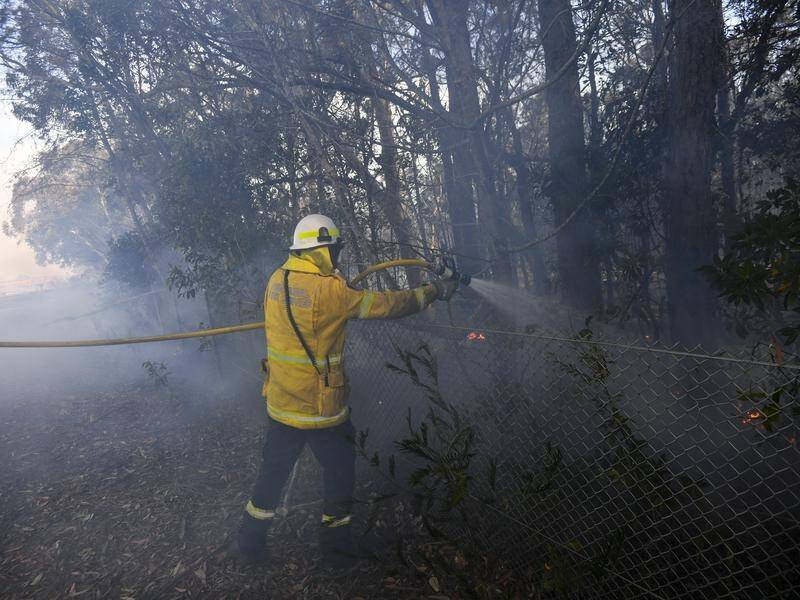 The bushfires royal commission has heard from volunteers who fought the deadly summer blazes.
