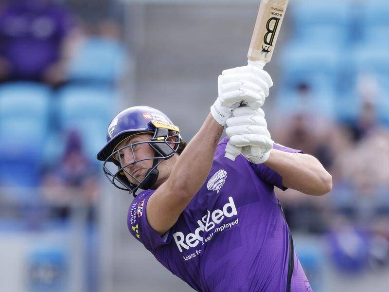 Tim David played an influential role in the Hobart Hurricanes' BBL win over the Melbourne Renegades.