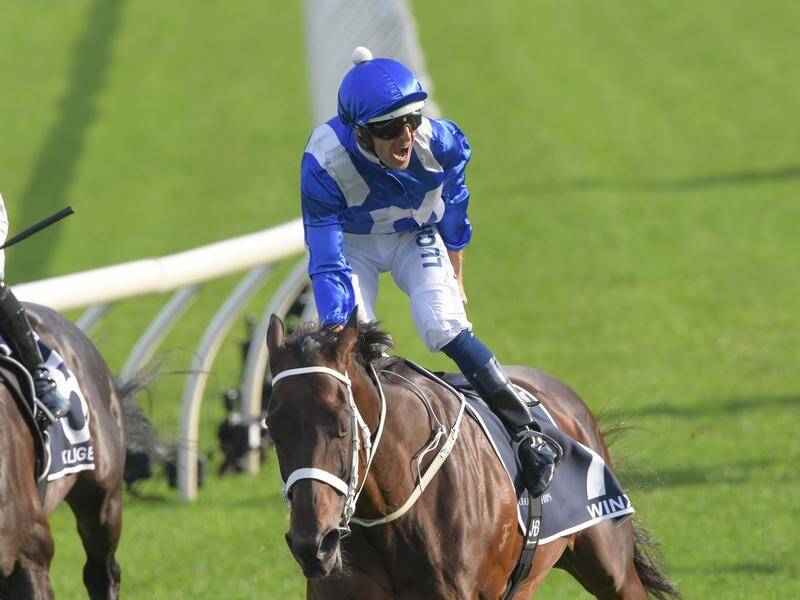 Jockey Hugh Bowman has ridden Winx to her 33rd win in a row, but says she's just a good horse.