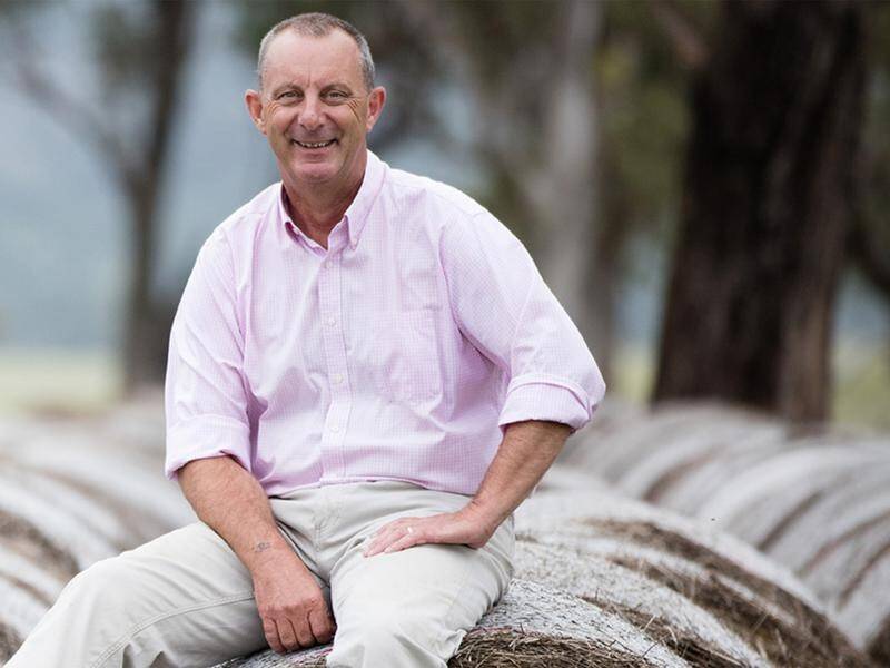 Former NSW MP Michael Johnsen has rebranded himself as a specialist in reputation management.
