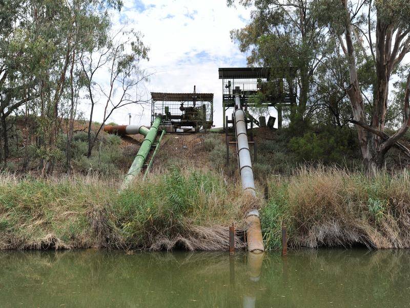 Queensland farmers will pay less irrigation costs under new state government COVID-19 measures.