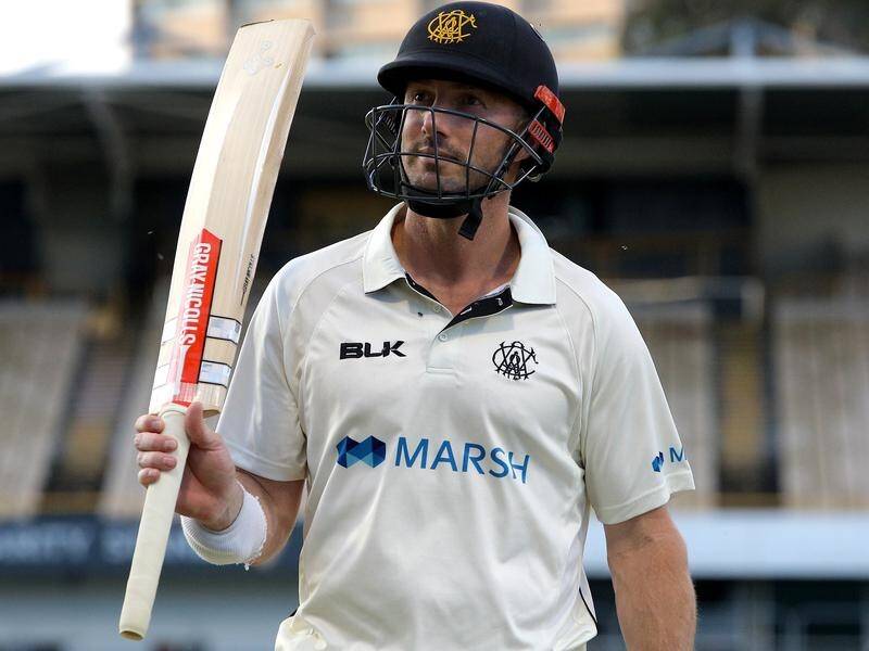 Shaun Marsh has rediscovered his touch, scoring a ton for Western Australia in the Sheffield Shield.