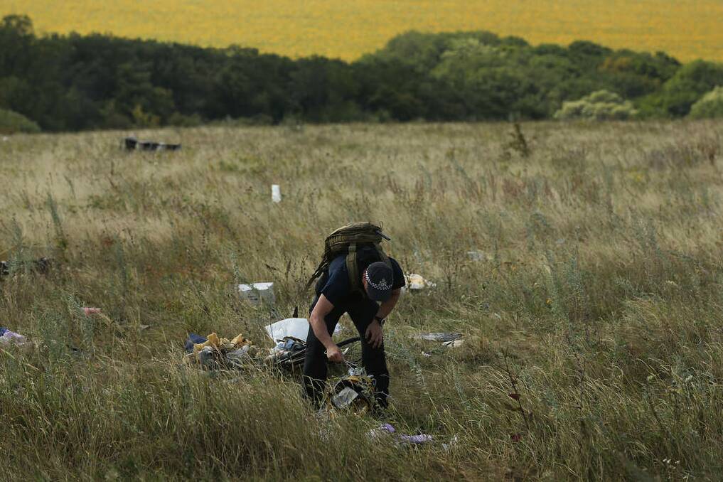An Australian Federal Police officer searches for human remains and personal belongings from the MH17 crash site in the fields outside the village of Grabovka. Photo: Kate Geraghty