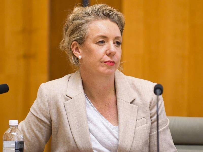Ex-NSW auditor-general Tony Harris has criticised Bridget McKenzie for her sports grants decisions.