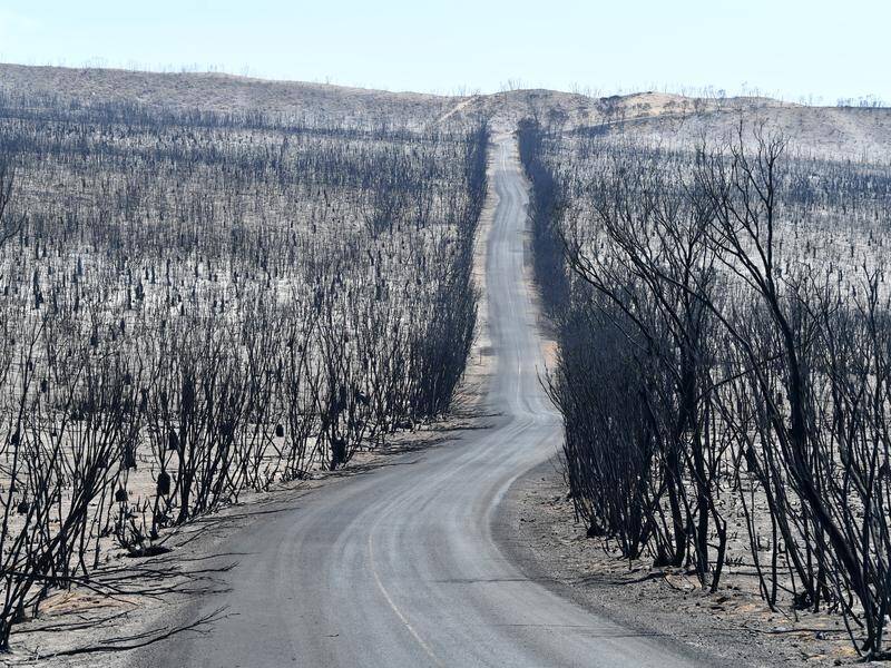 Flinders Chase National Park after bushfires swept through on Kangaroo Island, South Australia.