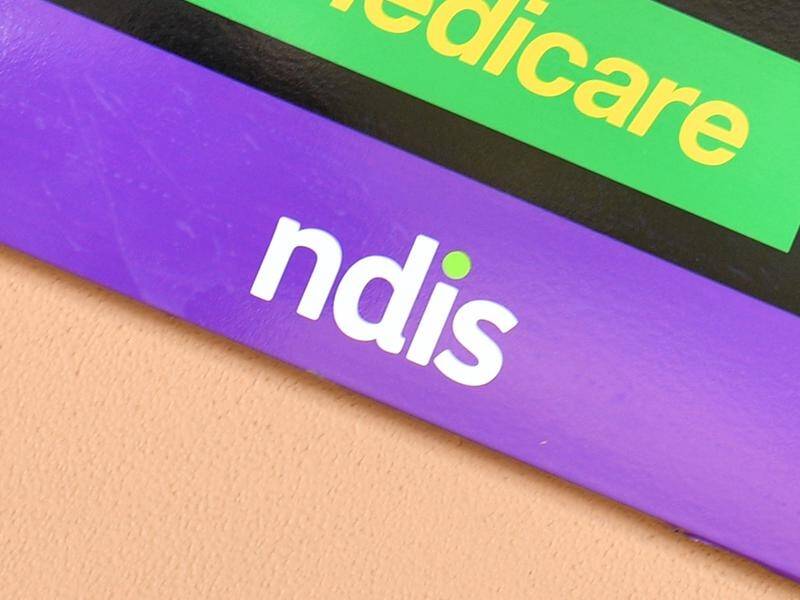 Stuart Robert says the government will be announcing its full NDIS plan in the next few weeks.