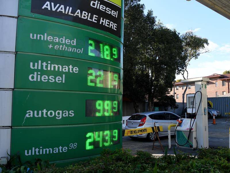 As petrol prices soar, the government is coming under pressure to cut or suspend the fuel excise.