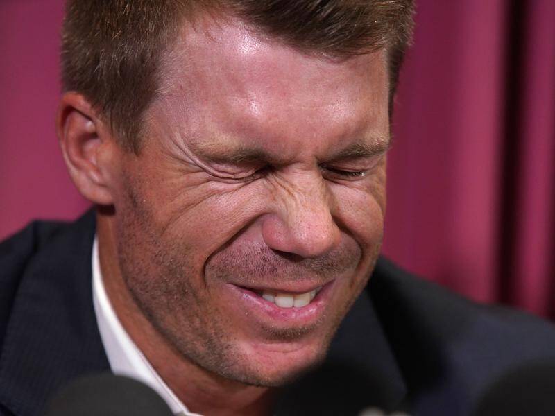 Former Australian cricket vice-captain David Warner fears his international career may be finished.
