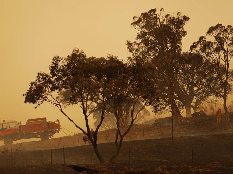 Councils have highlighted concerns over confusing warnings during the bushfires.