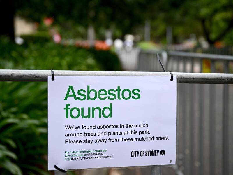 Queensland authorities say the risk of asbestos contamination is low following the Sydney outbreak. (Dan Himbrechts/AAP PHOTOS)
