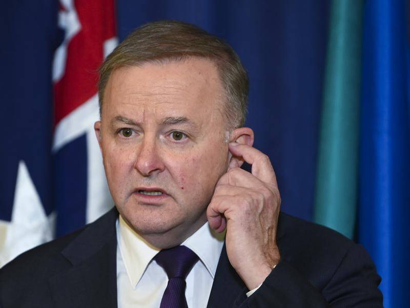 Anthony Albanese has kicked off his listening tour in Tasmania to learn why Labor lost the election.
