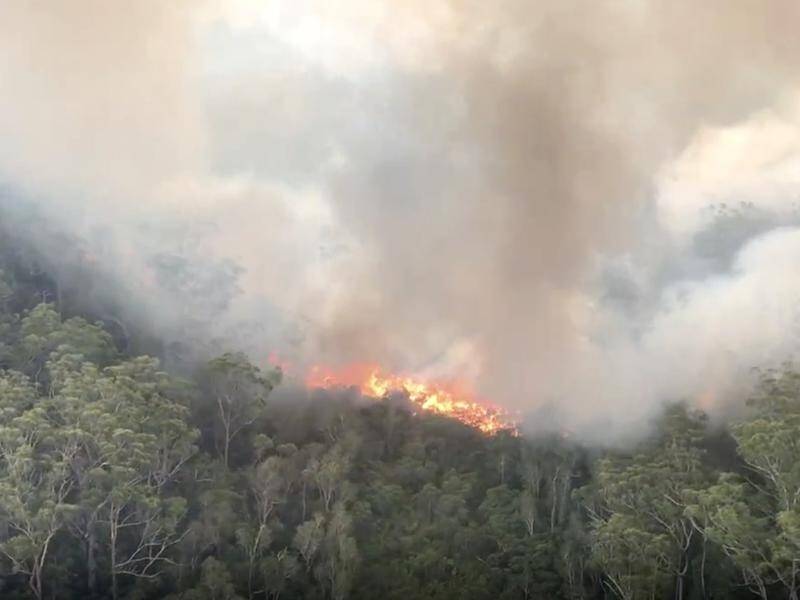 More than a dozen firefighting aircraft have significantly slowed a bushfire on Fraser Island.