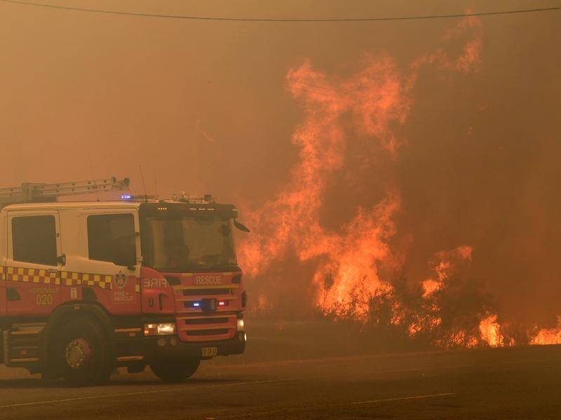 Two people have been arrested for alleged false claims for bushfire and COVID-19 welfare benefits.