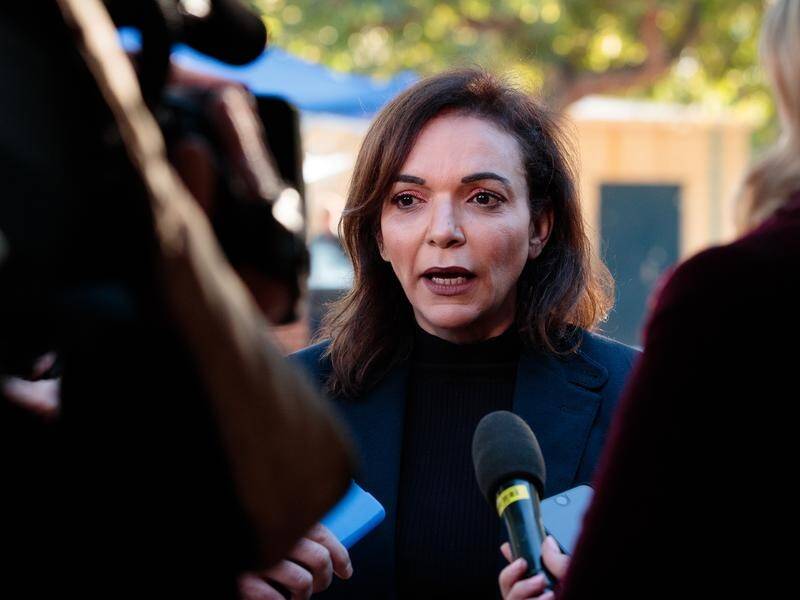 Federal Labor MP Anne Aly says she was a victim of domestic violence.