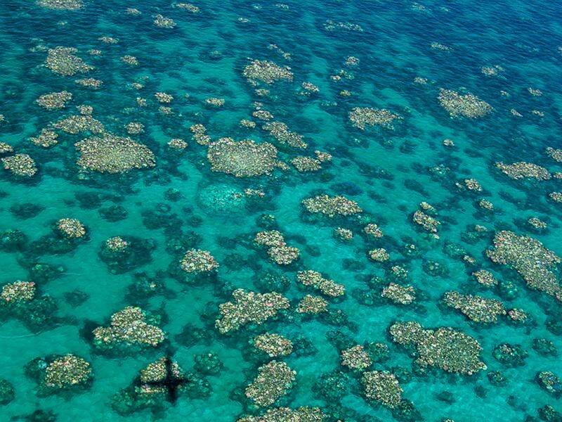 Great Barrier Reef tourism would be wiped out if climate change is allowed to accelerate.