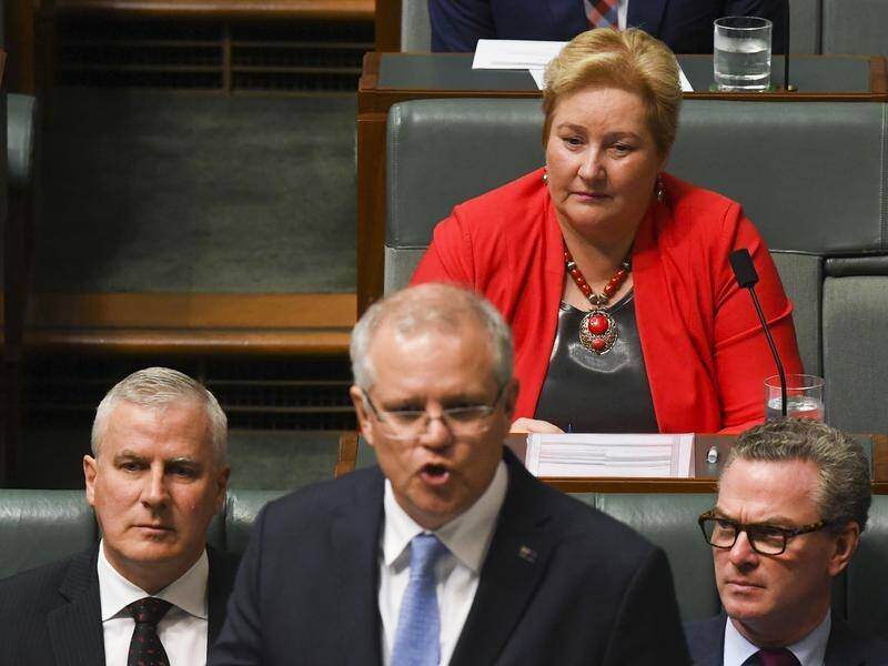 Ann Sudmalis is quitting at the next election in another blow for Prime Minister Scott Morrison.