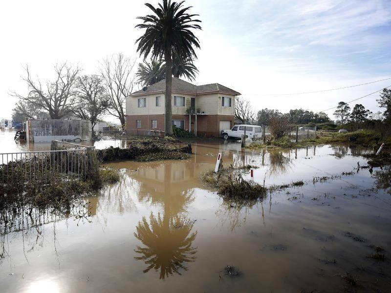 The NSW and federal governments' floods response has faced heavy criticism. (Darren Pateman/AAP PHOTOS)