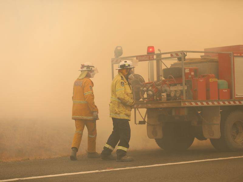 NSW authorities fear dozens more homes have been lost in the state to bushfires at the weekend.