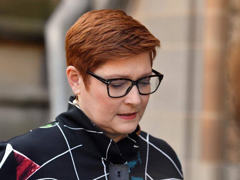 Marise Payne will meet colleagues from the US, India and Japan at a time of unprecedented pressure.