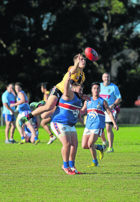 The Maitland Saints are going places and attracting talented young players such as former Cardiff Hawk Aidan Broadway from established clubs.