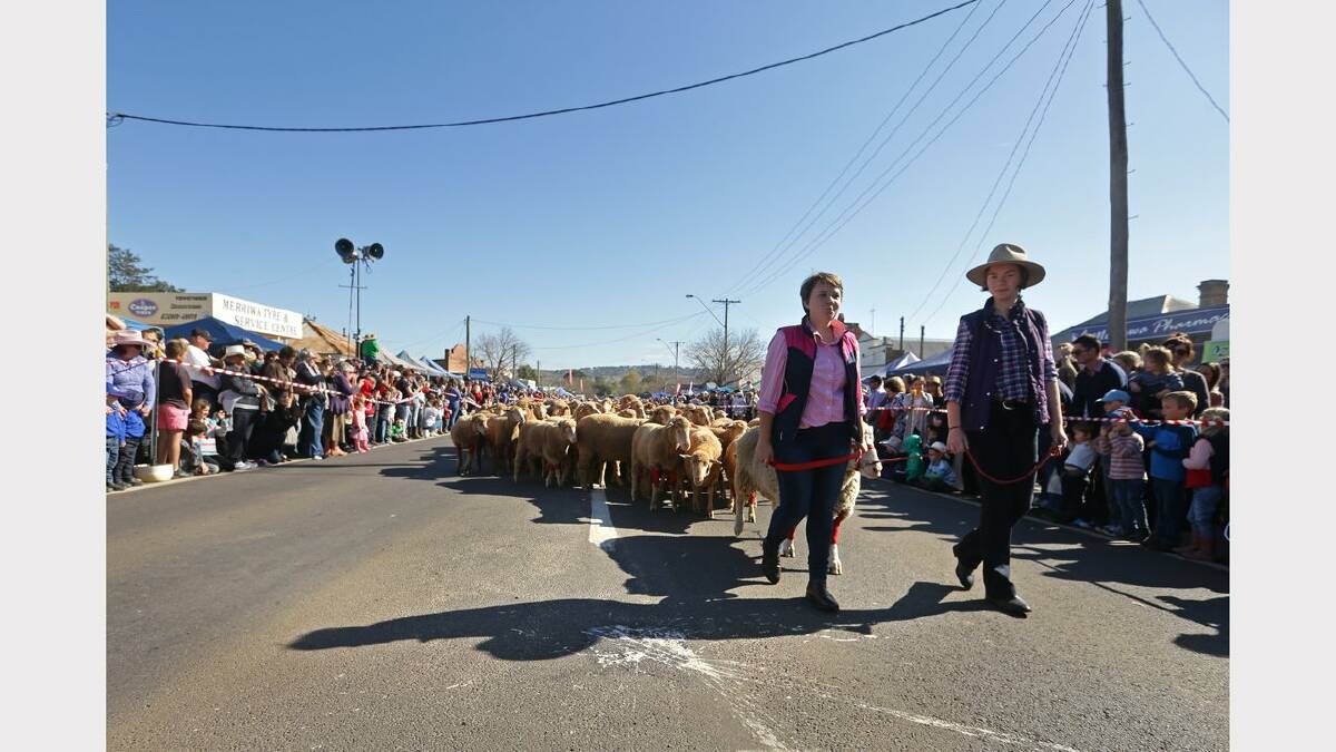 Merriwa Festival of the Fleeces 