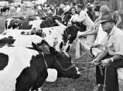 1969 Maitland Show from the archives of The Maitland Mercury
