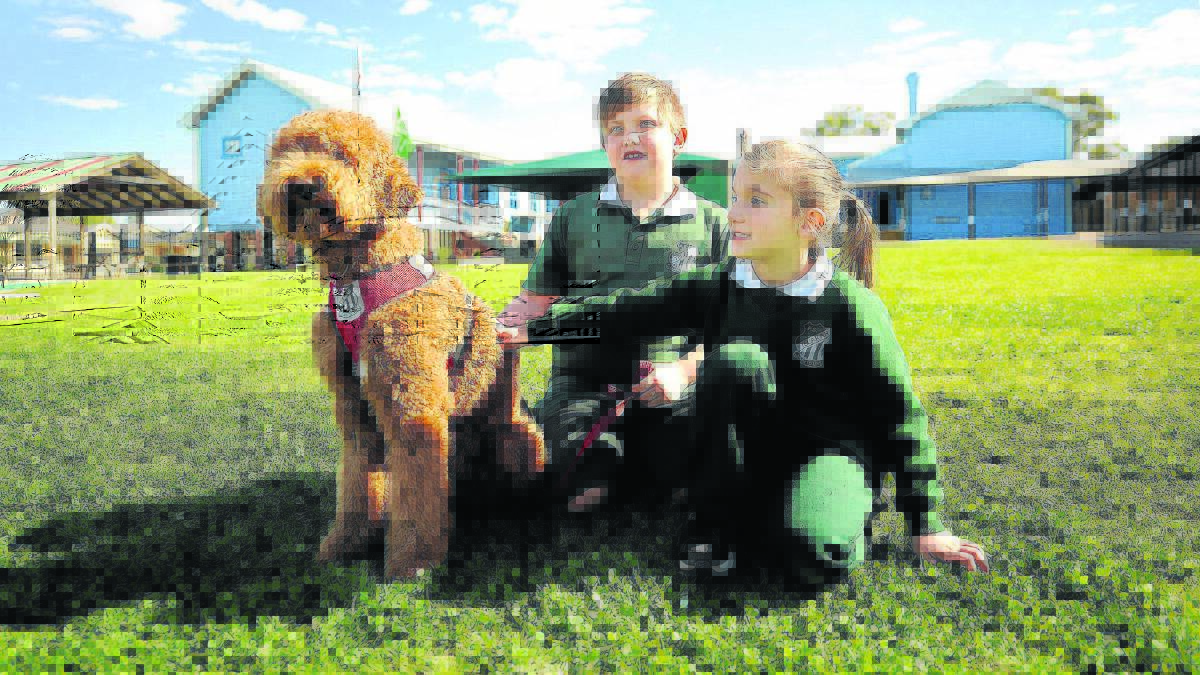 PET THERAPY:  Lucas Smith, year 3, and his sister Ella, year 2, with Chilli.