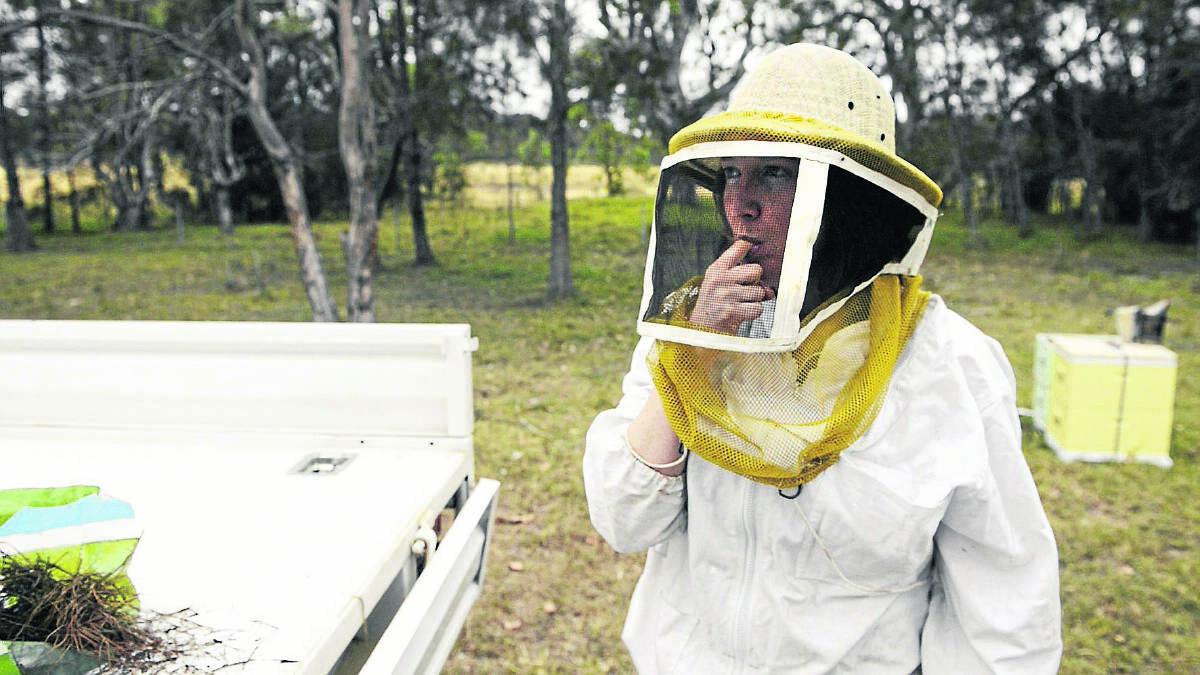 HOW SWEET IT IS: Elizabeth Frost tastes some honey from one of the hives at Tocal, where she is based.  	