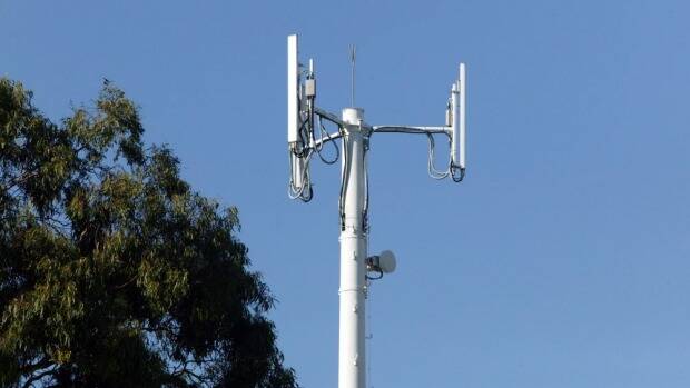 WIRELESS PLANS: An internet wireless tower is in the pipeline for Maitland Vale.