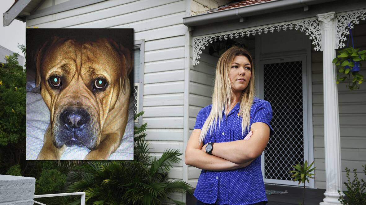 MISSING: Rhianna Gilmour launched "Bring Henry Home" on Facebook because she holds grave fears for the safety of her missing mastiff Henry (inset). Photo by Perry Duffin