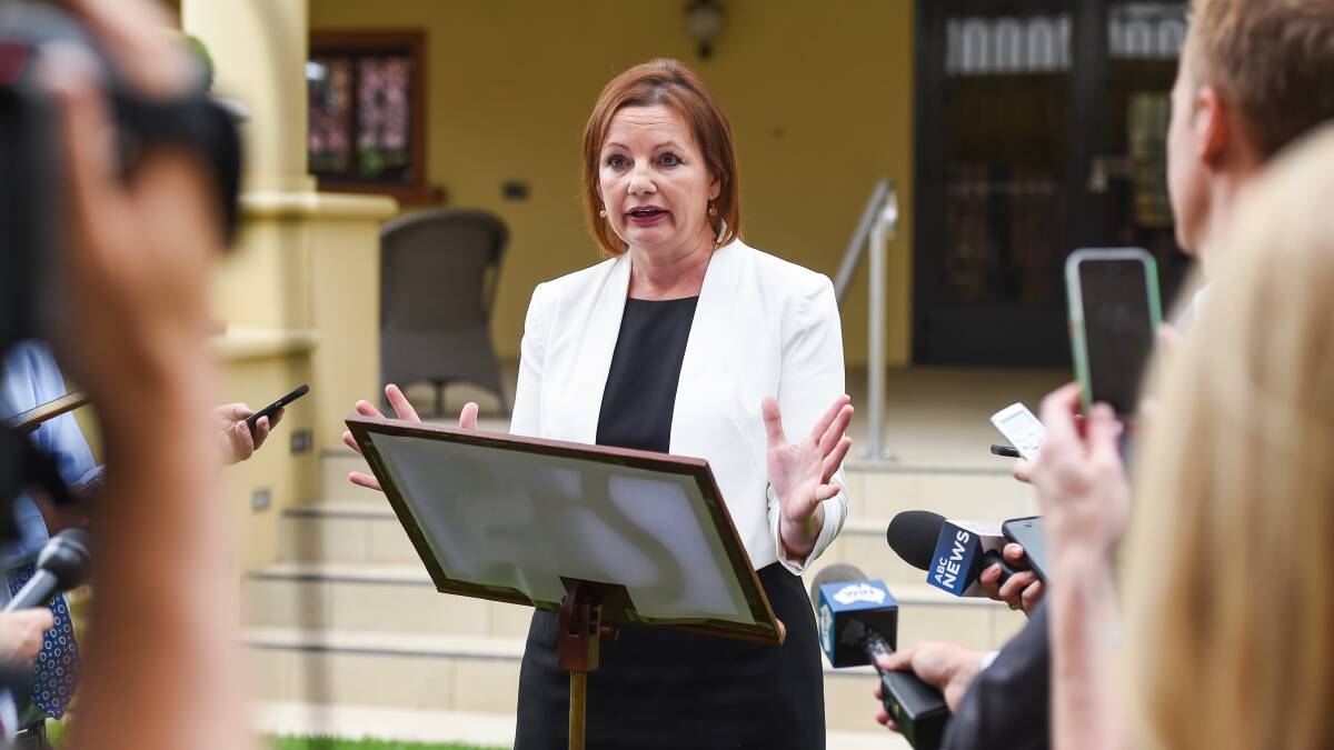 Sussan Ley addresses the media in Albury at the back door of her office over expenses and travel claims in the Gold Coast. She will stand aside pending the investigation. Picture: Mark Jesser